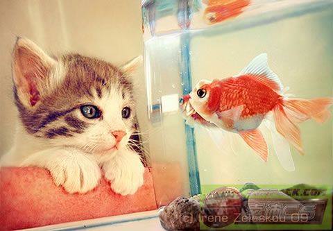 ͼƬ��������´��ڴ򿪲鿴