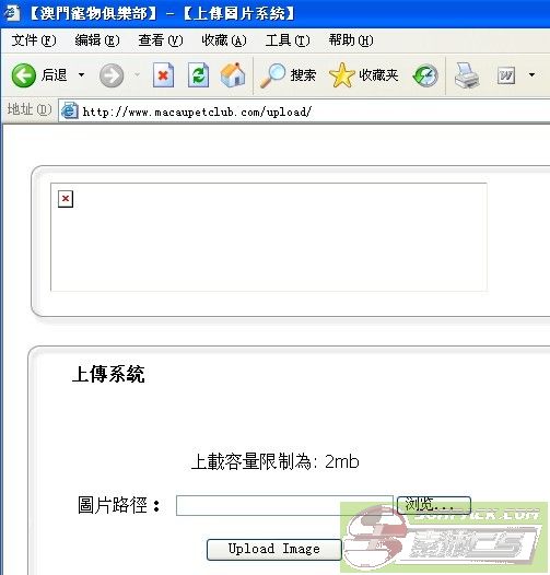 dvubb 图片点击可在新窗口打开查看